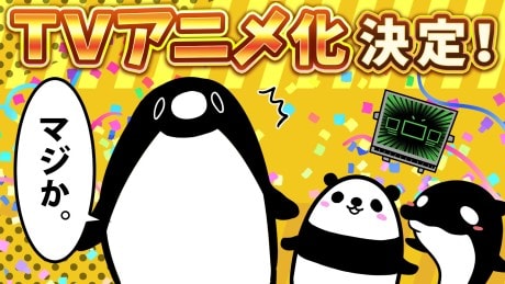 Teiko Penguin